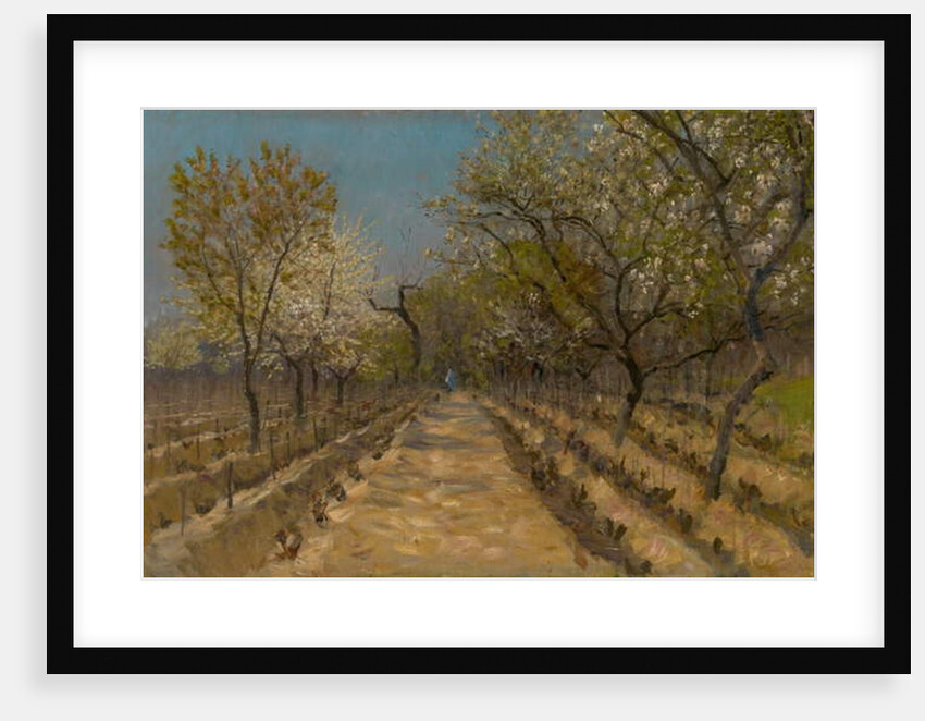 Vineyard, c.1890-95 by Laszlo Mednyanszky