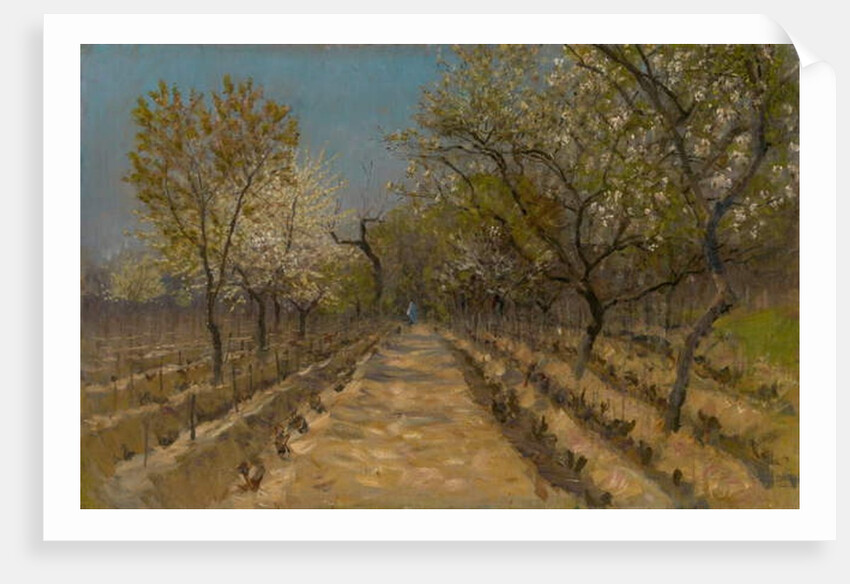 Vineyard, c.1890-95 by Laszlo Mednyanszky