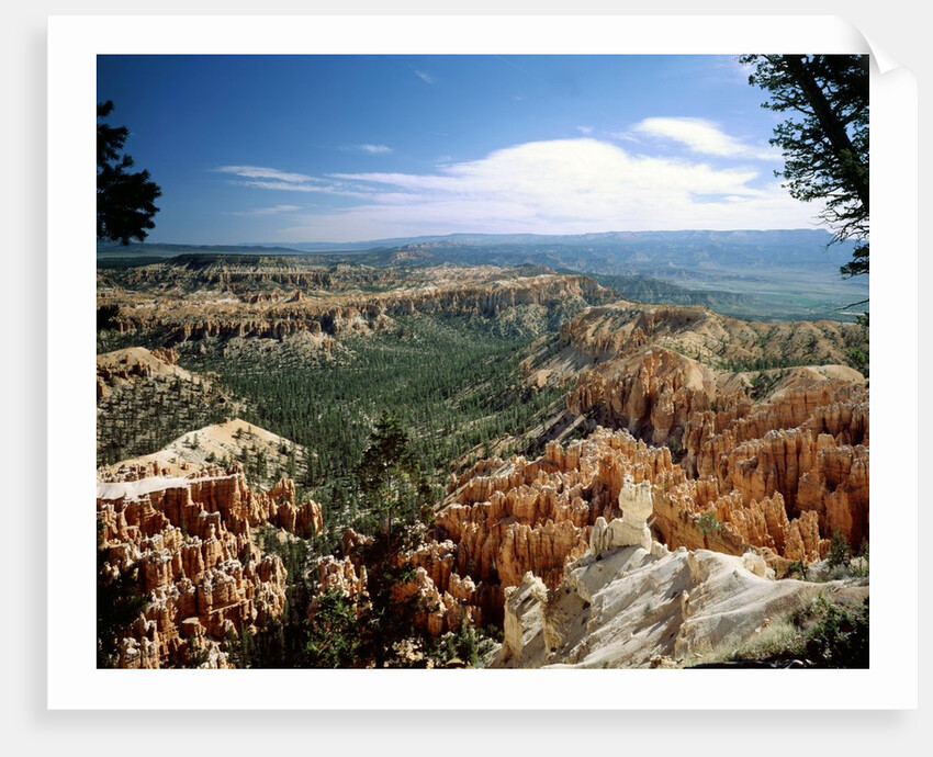 Bryce Canyon National Park, Utah by Anonymous
