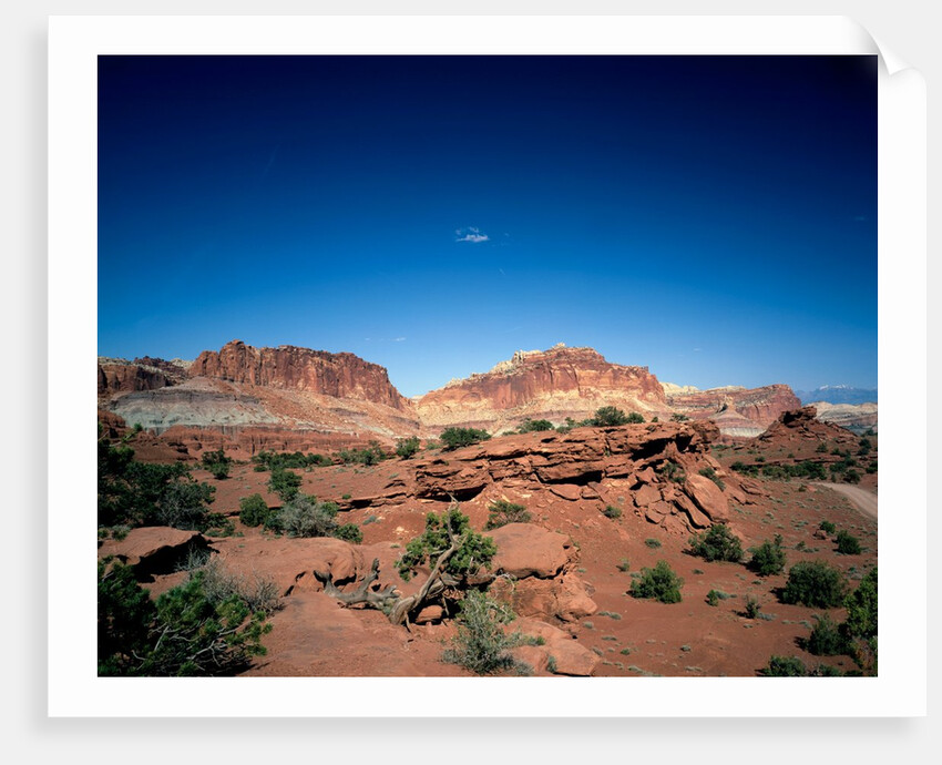 Capitol Dome and Chimney Rock, Capitol Reef National Park, Utah by Anonymous