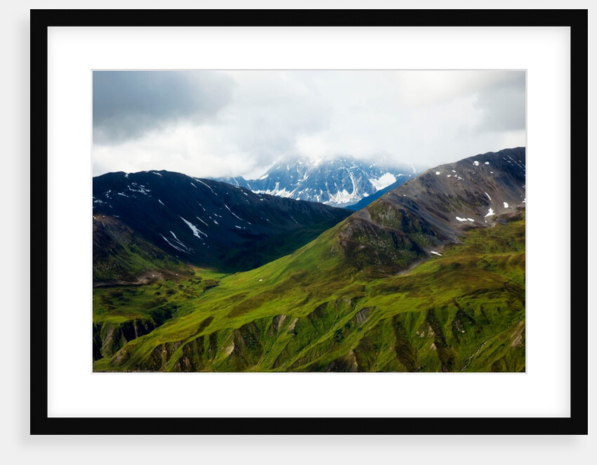 Alaskan tundra, Denali National Park, Alaska by Anonymous