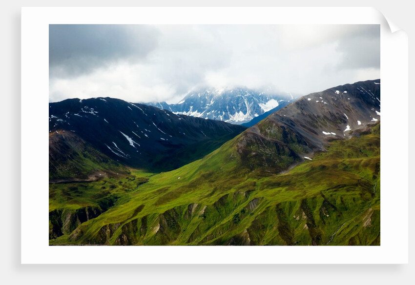 Alaskan tundra, Denali National Park, Alaska by Anonymous