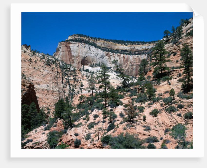 Zion National Park, Utah by Anonymous