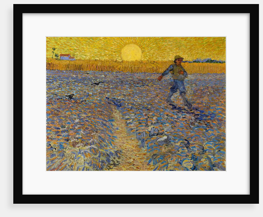 The Sower, c.1888 by Vincent van Gogh