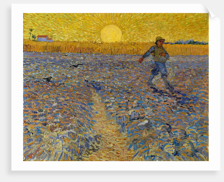 The Sower, c.1888 by Vincent van Gogh
