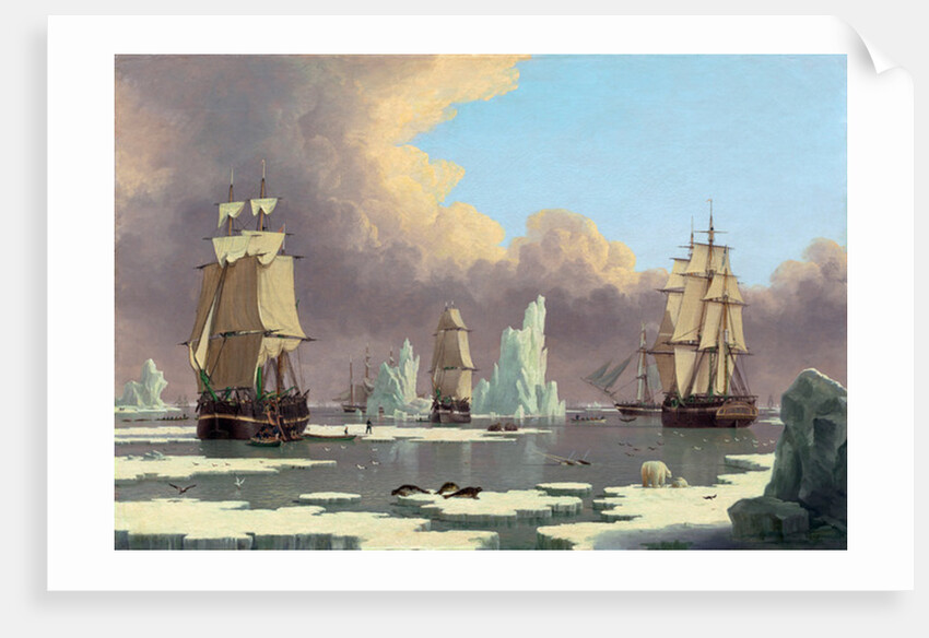 The Northern Whale Fishery: The 'Swan' and 'Isabella', c. 1840 by John of Hull Ward