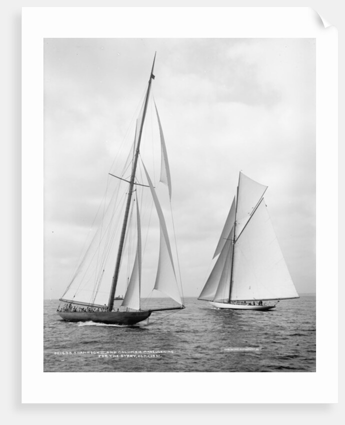 Shamrock II and Columbia at the start of the America's Cup, 1901 by Detroit Publishing Co.