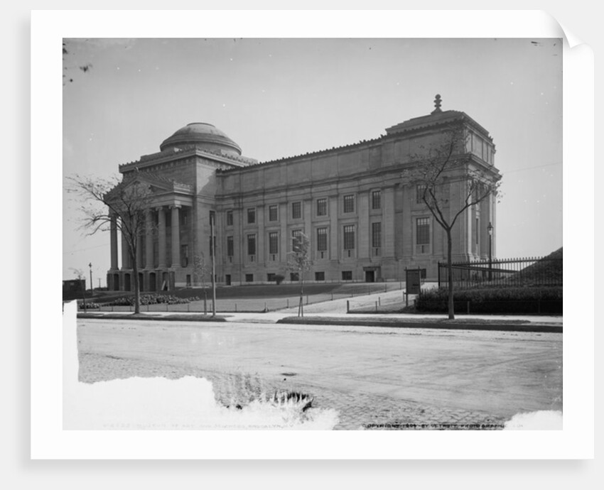 Museum of Art and Sciences, Brooklyn by Anonymous