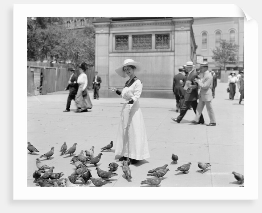 Feeding the pigeons, Boston Common by Anonymous