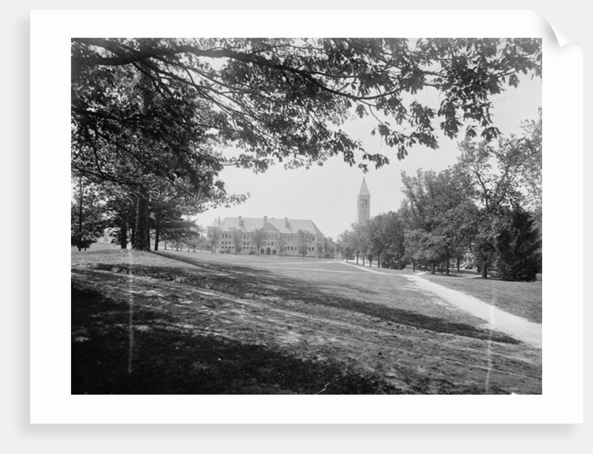The Campus, Cornell University by Anonymous
