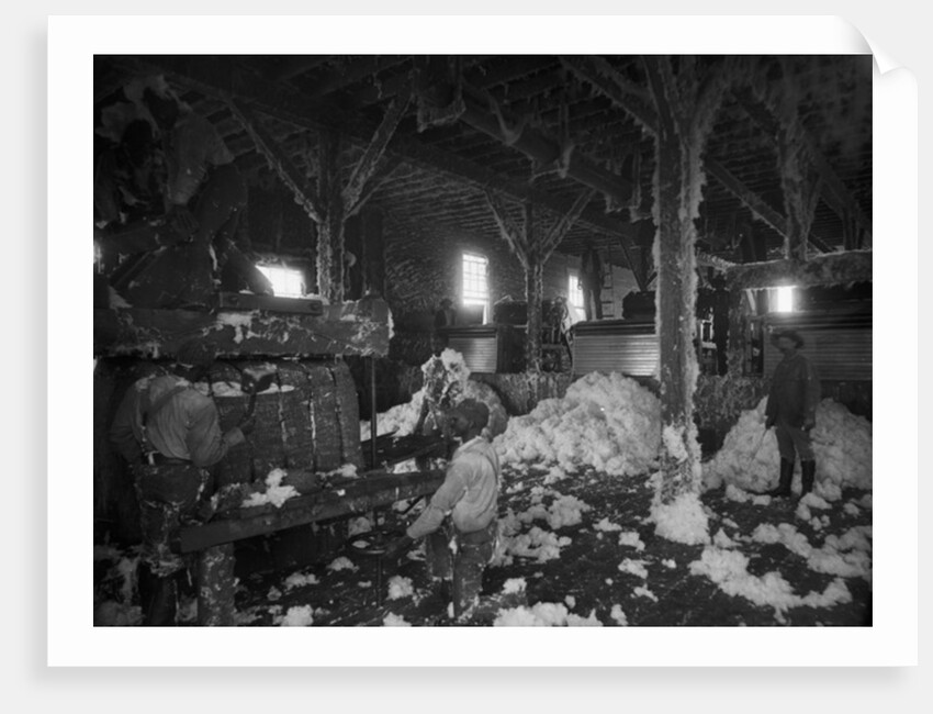 Cotton gin at Dahomey by Anonymous