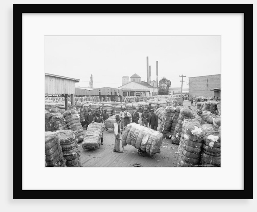 Weighing cotton by Anonymous