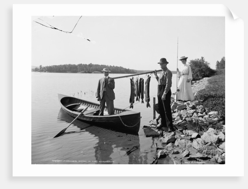 A Morning's catch in the Adirondacks, c.1903 by Detroit Publishing Co.