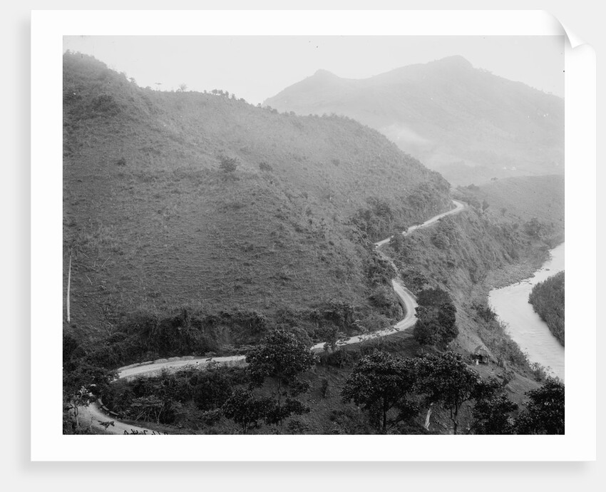 The Military Road, Puerto Rico, c.1903 by Detroit Publishing Co.