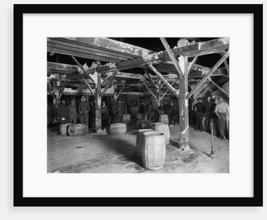 Del Ray Salt Co., c.1900-20 by Detroit Publishing Co.