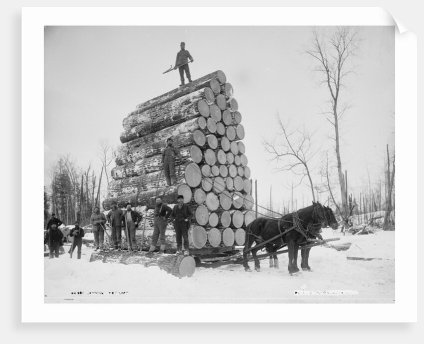 Logging a big load, Michigan, c.1880-99 by Detroit Publishing Co.