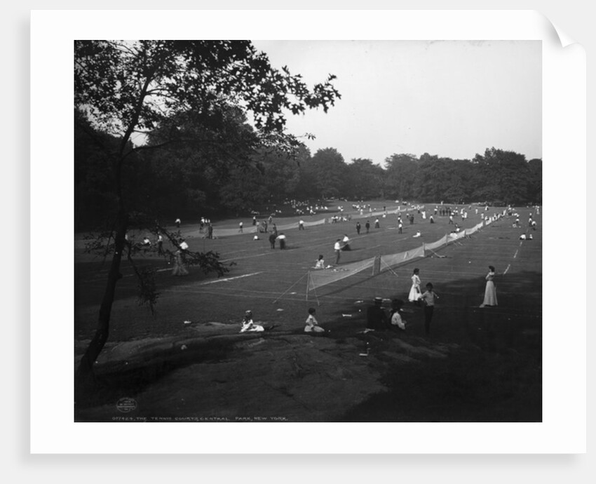 The Tennis courts, Central Park, New York, c.1904 by Detroit Publishing Co.
