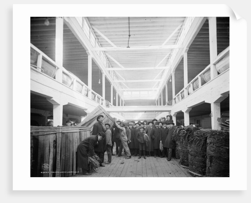 A tobacco market, Louisville, Kentucky, 1906 by Detroit Publishing Co.
