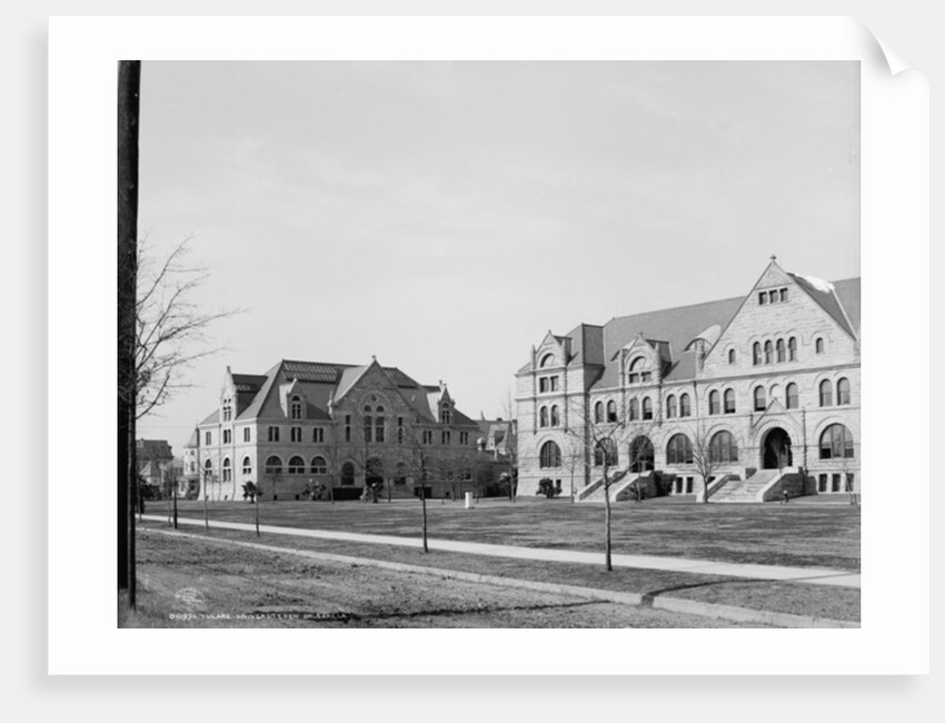 Tulane University, New Orleans, Louisiana, 1906 by Detroit Publishing Co.