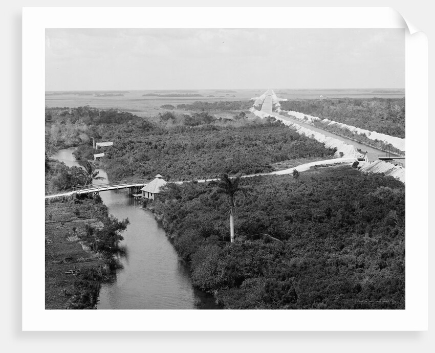 Drainage canal and Everglades, Miami, Florida, c.1910-20 by Detroit Publishing Co.