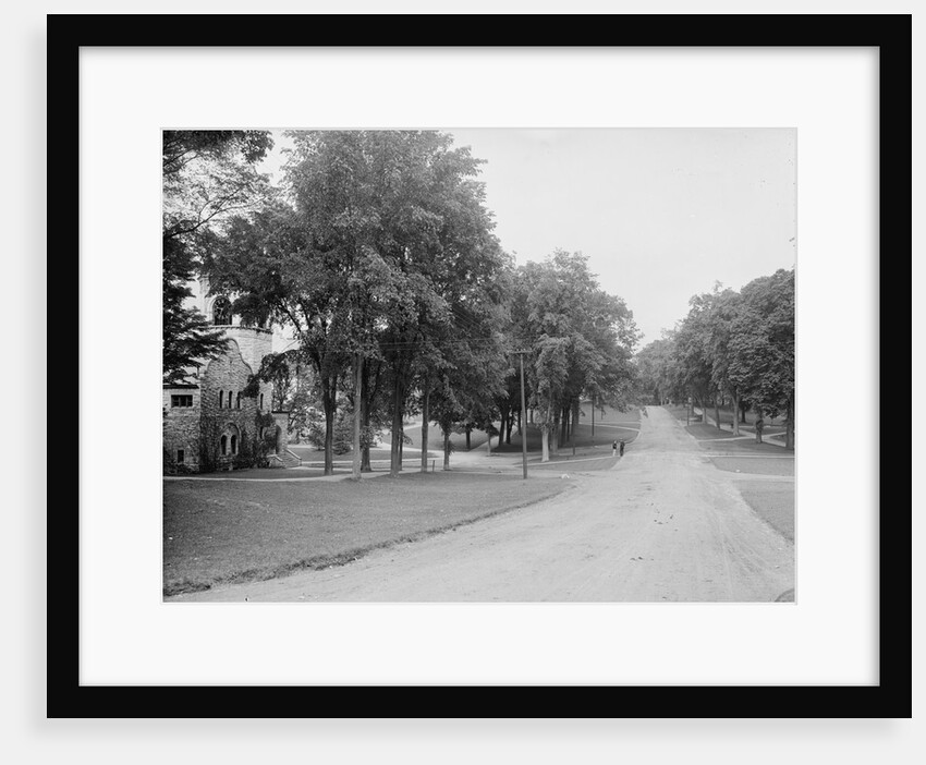 The Campus, Williams College, Williamstown, Massachusetts, c.1904 by Detroit Publishing Co.