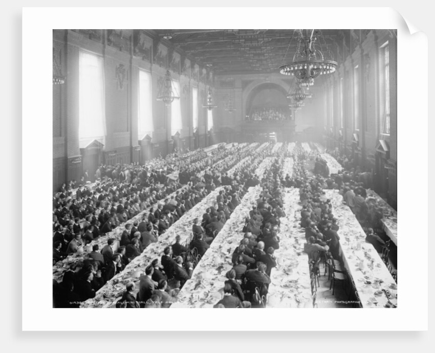 Banquet in Alumni Hall [i.e., University Commons], Yale College, Connecticut, c.1900-06 by Detroit Publishing Co.