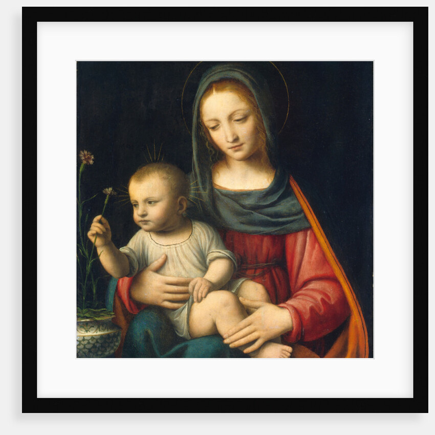 The Madonna of the Carnation, c.1515 by Bernardino Luini