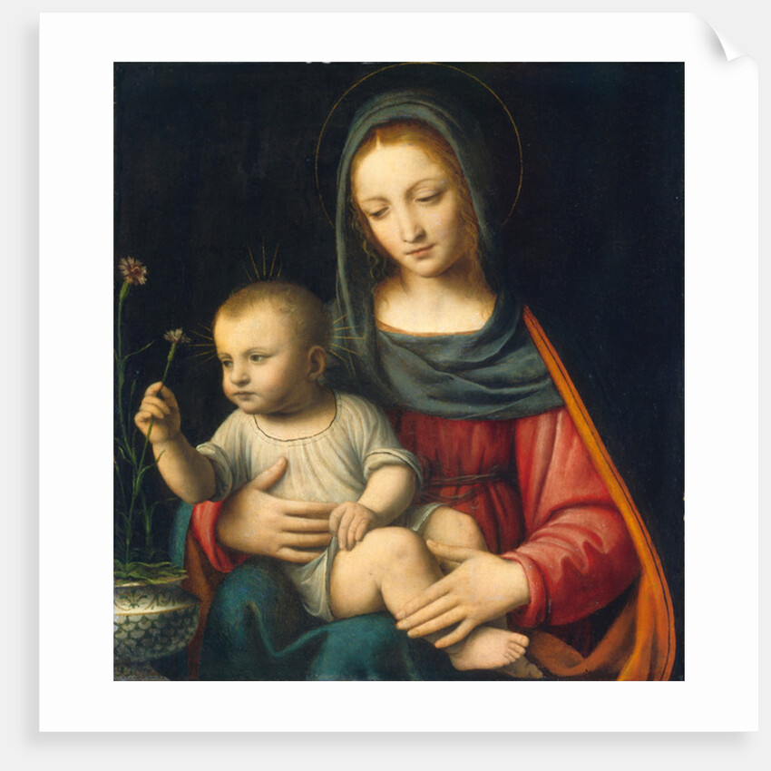 The Madonna of the Carnation, c.1515 by Bernardino Luini