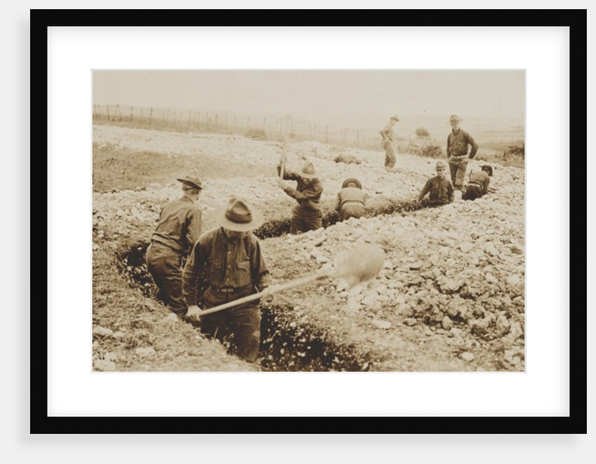 U.S. Marines in France Digging in, 1917-19 by American Photographer