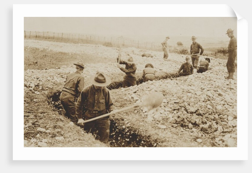 U.S. Marines in France Digging in, 1917-19 by American Photographer