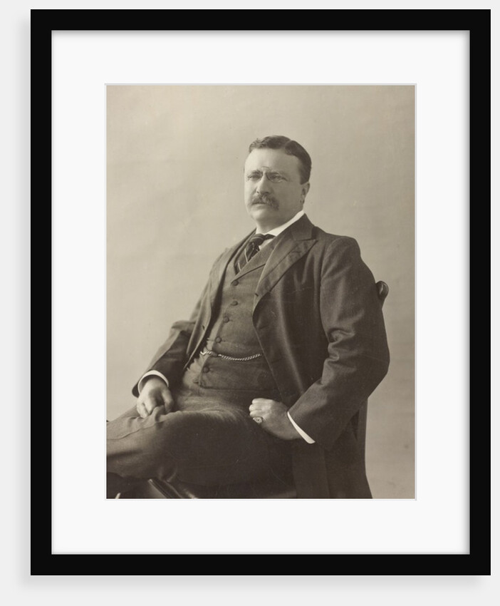 Theodore Roosevelt by Unknown photographer