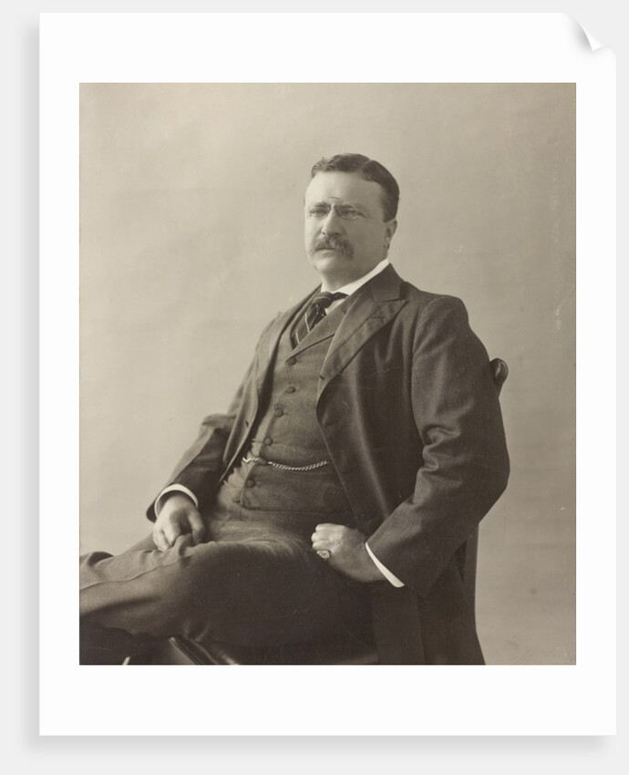 Theodore Roosevelt by Unknown photographer