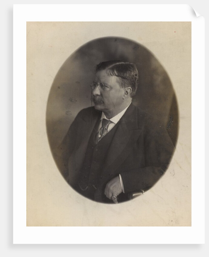 President Theodore Roosevelt, sitting side face by Anonymous