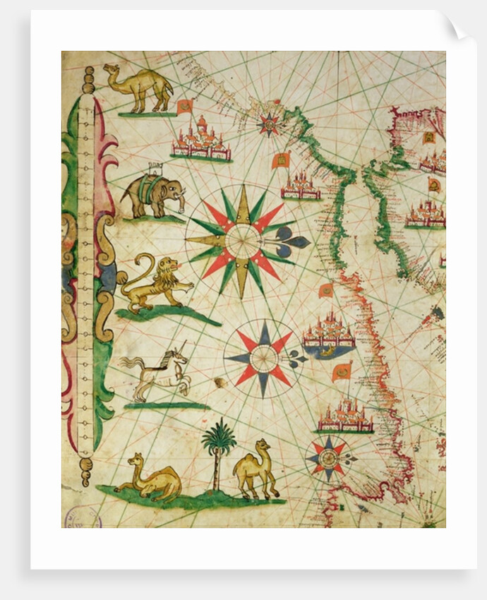 The North African Coast by Pietro Giovanni Prunes