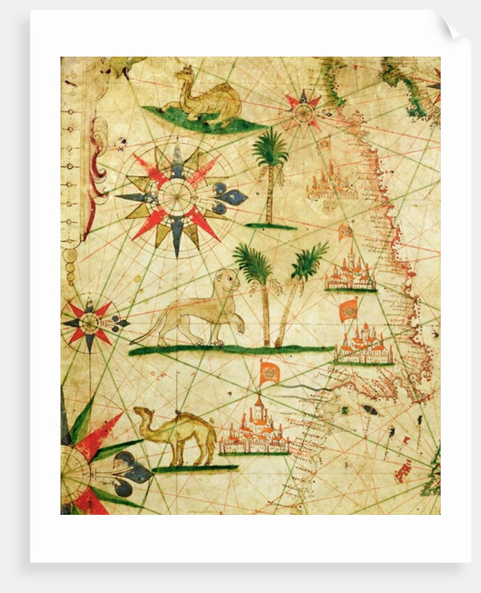 The North Coast of Africa by Pietro Giovanni Prunes