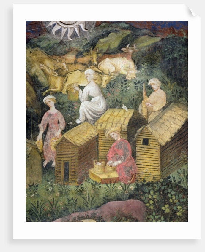 Mountain pastures. Milking the cows and cheese making by Italian School