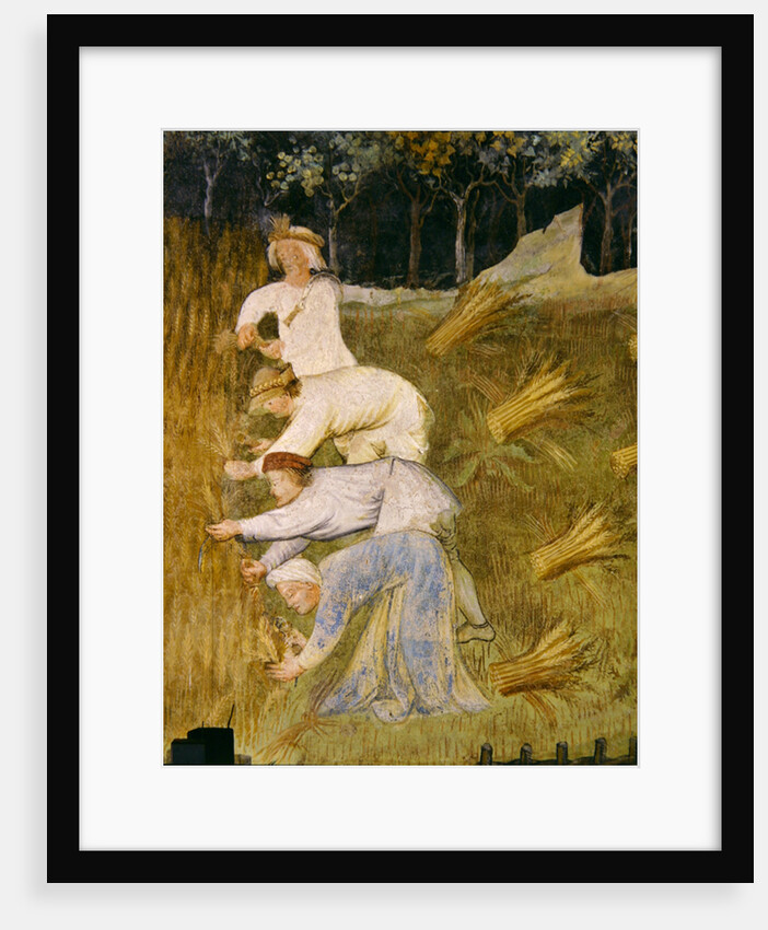 Harvesting wheat, detail by Italian School