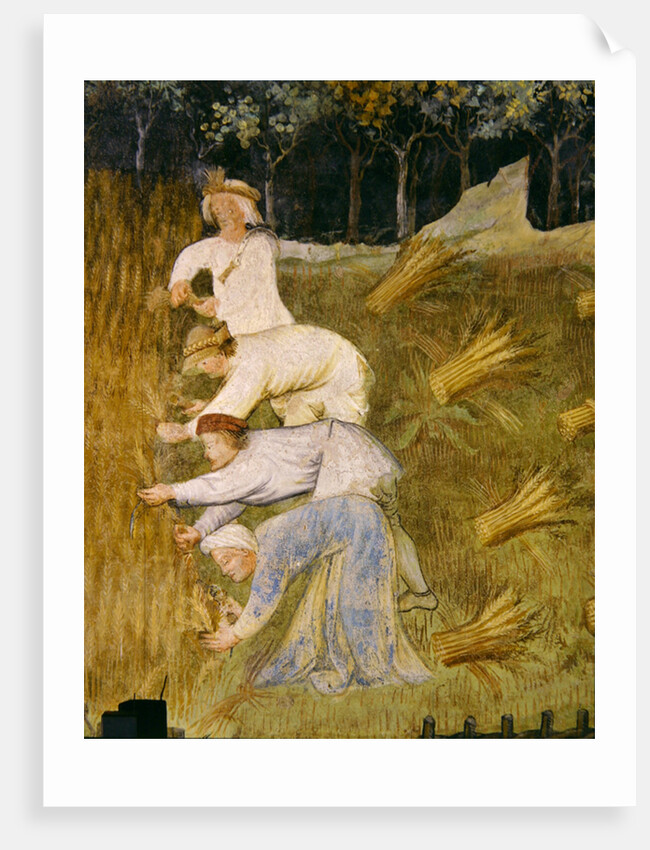 Harvesting wheat, detail by Italian School