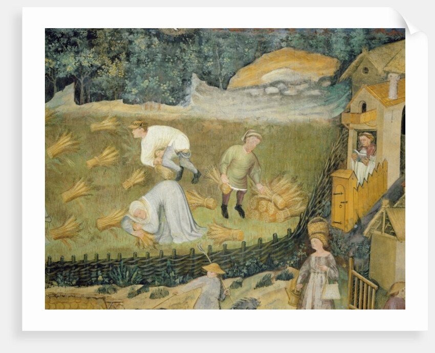 Harvesting sheaves of grain by Italian School