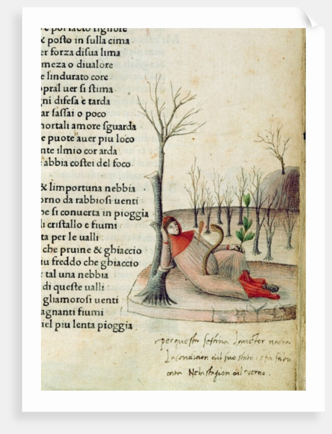 Fol. 52r from 'Canzoniere e Trionfi' by Petrarch, c.1470 by Italian School