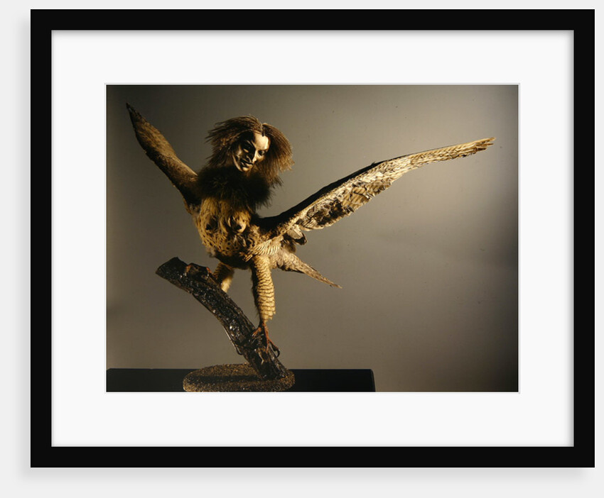 A Harpy by Anonymous