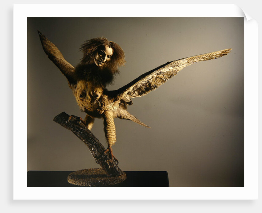 A Harpy by Anonymous