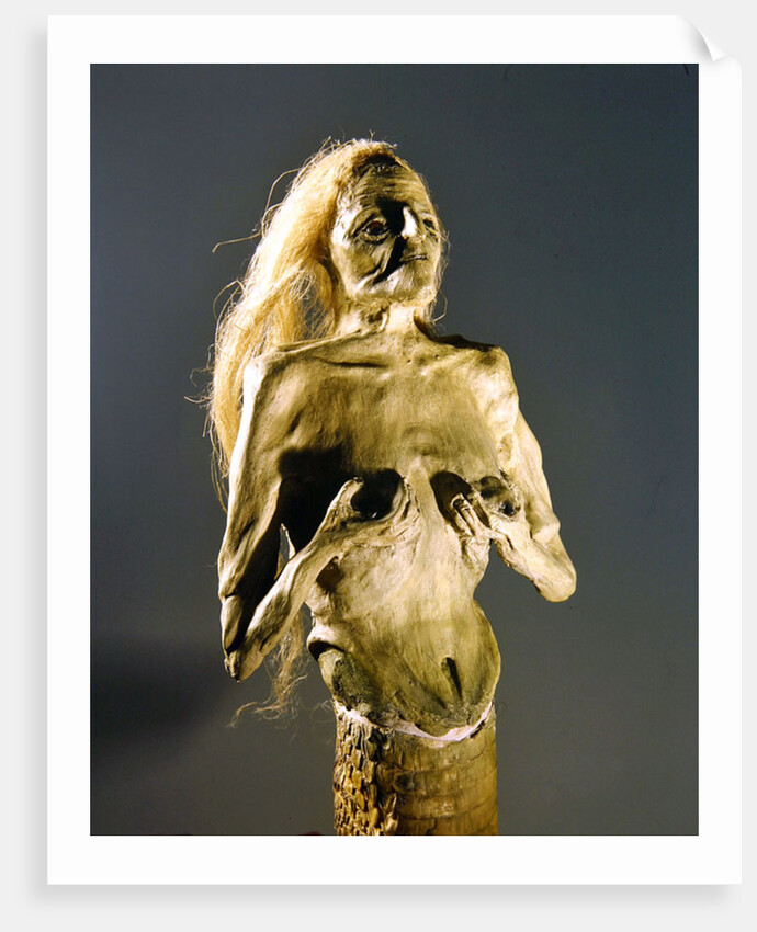 Half-woman, half-snake creature, spawn of Melusine, 1900 by Anonymous