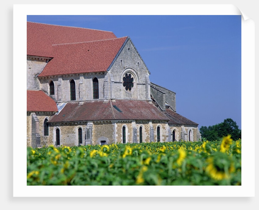 Pontigny Abbey by Anonymous