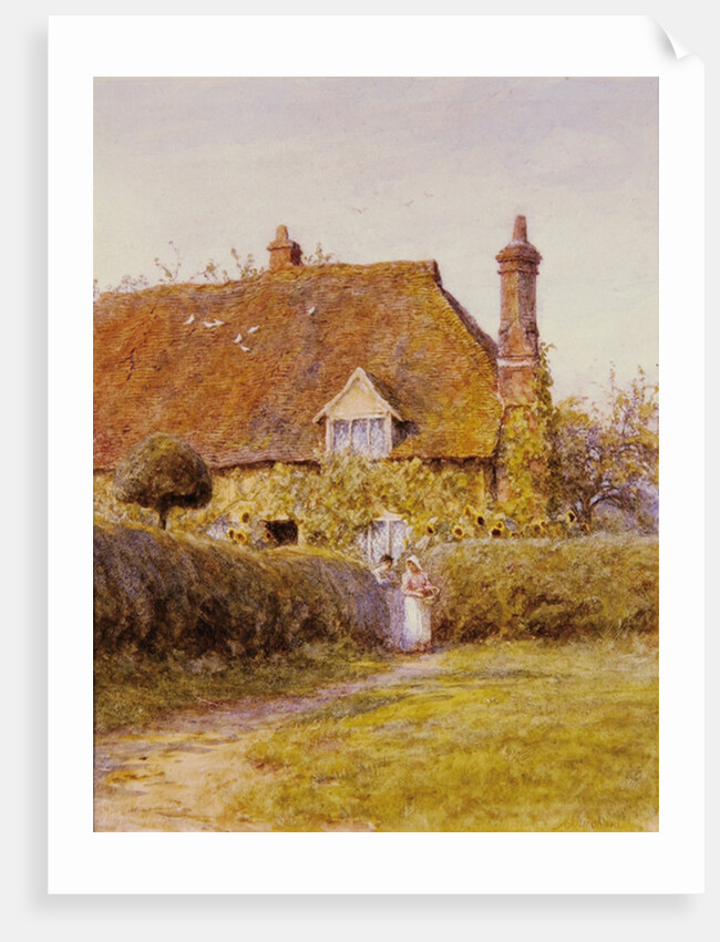 Sunflower Cottage by Helen Allingham