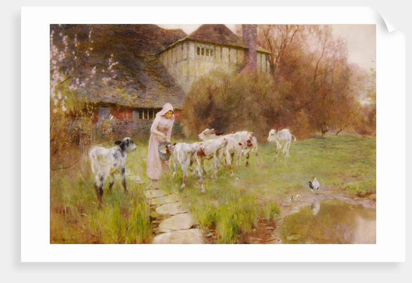 Feeding the Calves by Robert Gustav Meyerheim