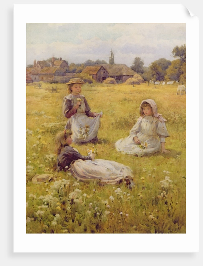 Picking Wild Flowers by William Affleck