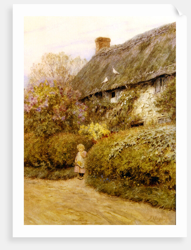 Freshwater Cottage by Helen Allingham