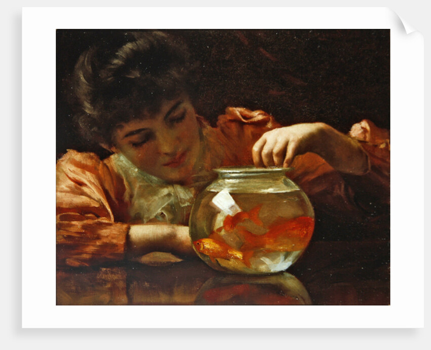 The Goldfish Bowl by Thomas Benjamin Kennington