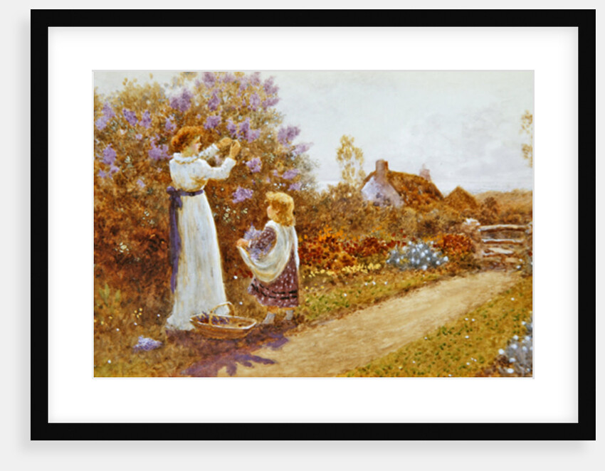 Lilacs, 1899 by Thomas James Lloyd